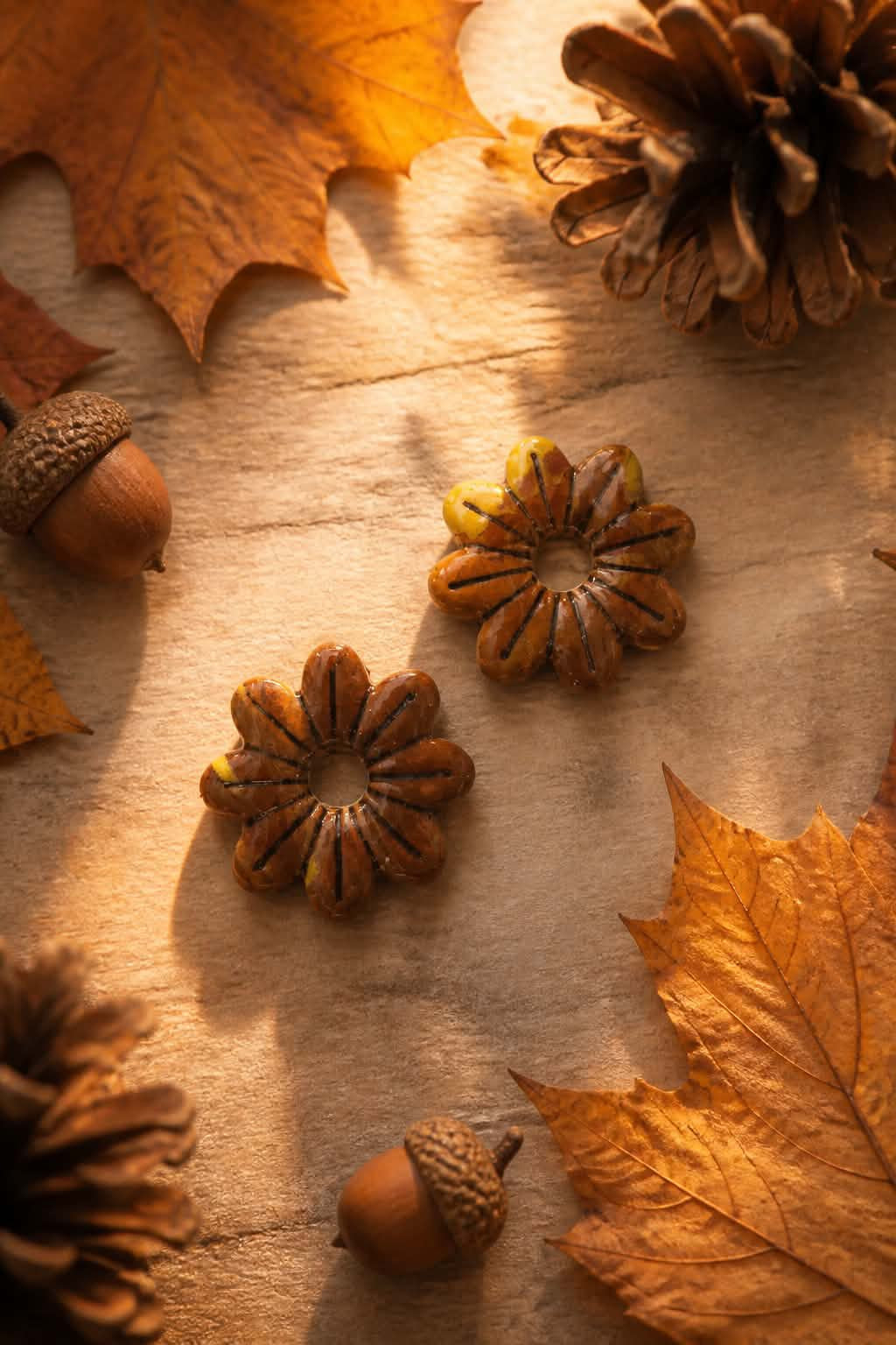 Pampilles Automne/Halloween